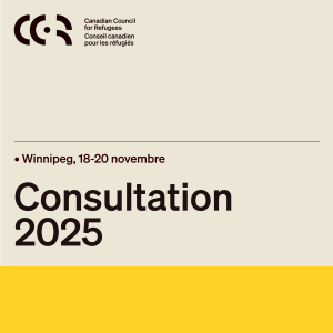 300x300-2025 Consultation Square_FR