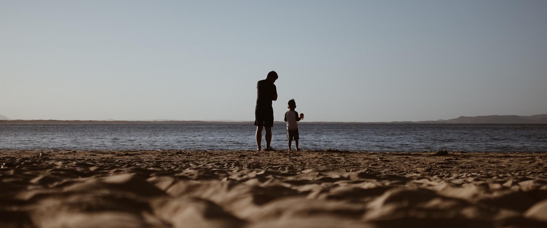 Family Reunification (FR)